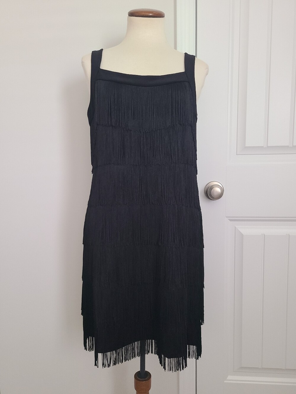 WHBM Gatsby Fringe Flapper Dress S Cocktail Party Fancy White House Black Market